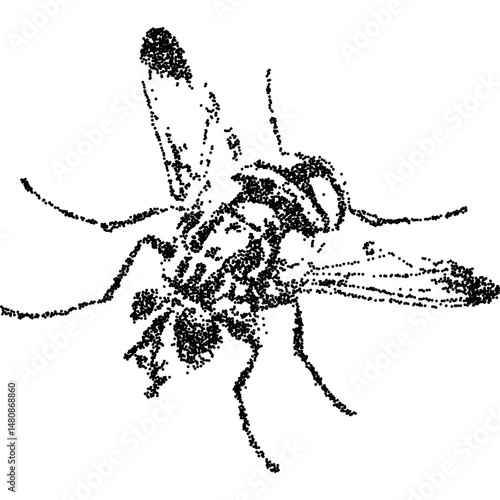 Halftone stipple illustration of a fly with grainy dotwork. Grunge punk aesthetic in photocopy texture. Vector illustration