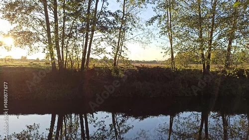Autumn landscape. Dry leaves fall on water surface of river. Yellow leaves falling on lake. Water scenery in autumn. Autumnal yellow leaves on water. Golden autumn by the quiet river. Autumn landscape