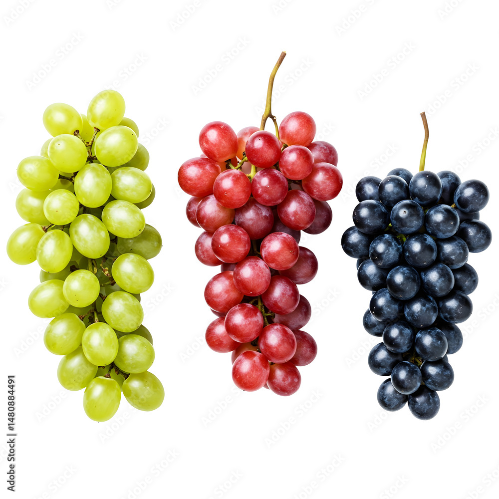 Three hanging bunches of green, red, and dark grapes on a transparent background Three hanging bunches of green, red, and dark grapes on a transparent background