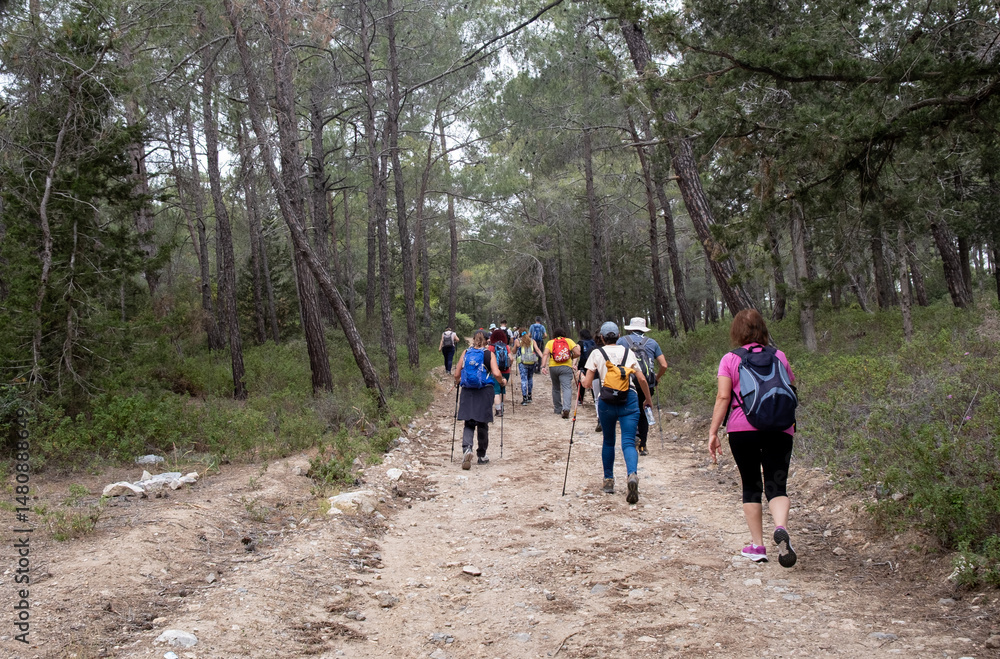 Obraz premium Group of hikers hiking in a nature trail. People trekking outdoors. Active healthy lifestyle