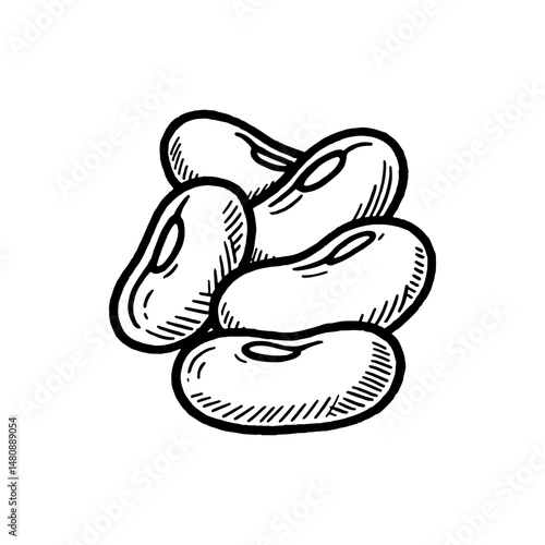 Hand-drawn illustration of a pile of kidney beans