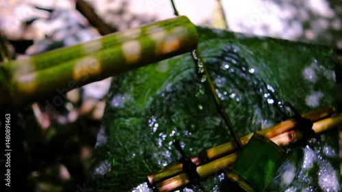 日本、京都、慈照寺、銀閣寺、東山慈照禅寺、寺院、錦鏡池、楼閣建築、池泉回遊式庭園、枯山水庭園、佛寺、佛教、木造建築、古代建築、庭園、文化財、日本文化、歷史名勝、綠色、風景、青空、夏、写真素材、国の特別史跡、古都京都の文化財、世界遺産