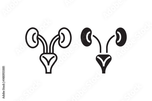Urology organ icons showing kidneys and bladder Vector