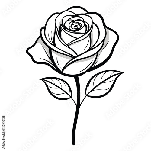 Wallpaper Mural A single, black-outlined rose with leaves Torontodigital.ca