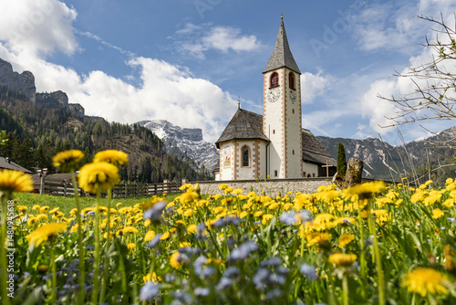 church in South Tyrol in spring in a field of flowers