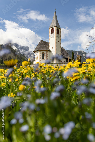 church in South Tyrol in spring in a field of flowers
