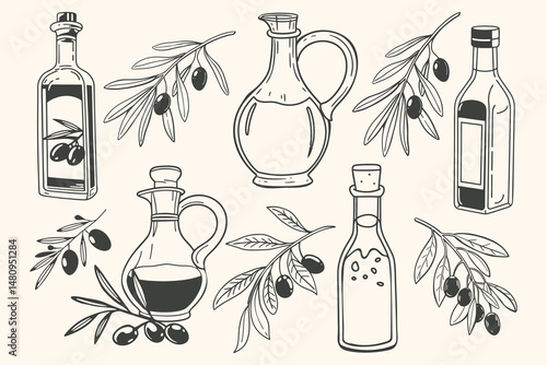 Set of olive oil bottles and olive branches. Collection of of olive oil, leaves, branches, natural products. Hand drawn sketch illustration.