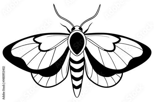 moth silhouette line art vector illustration with a white background