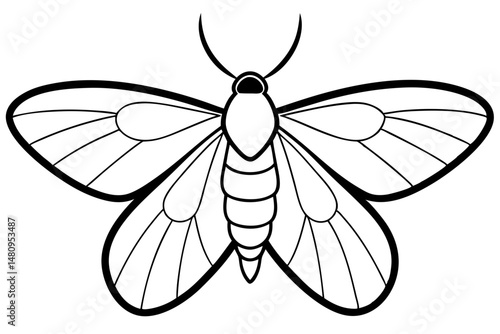 moth silhouette line art vector illustration with a white background
