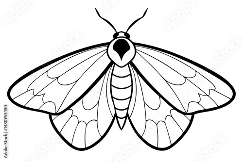 moth silhouette line art vector illustration with a white background