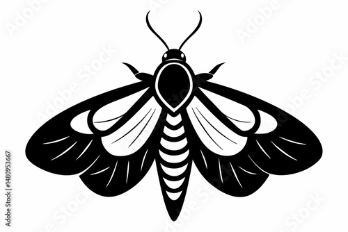 moth silhouette line art vector illustration with a white background