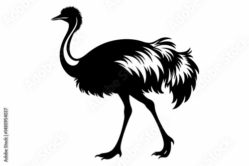 ostrich silhouette line art vector illustration with a white background