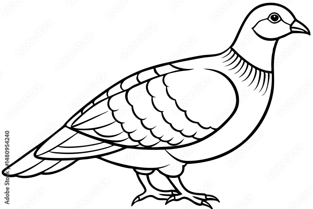 Fototapeta premium partridge silhouette line art vector illustration with a white background