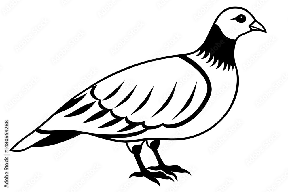 Fototapeta premium partridge silhouette line art vector illustration with a white background
