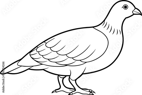 partridge silhouette line art vector illustration with a white background