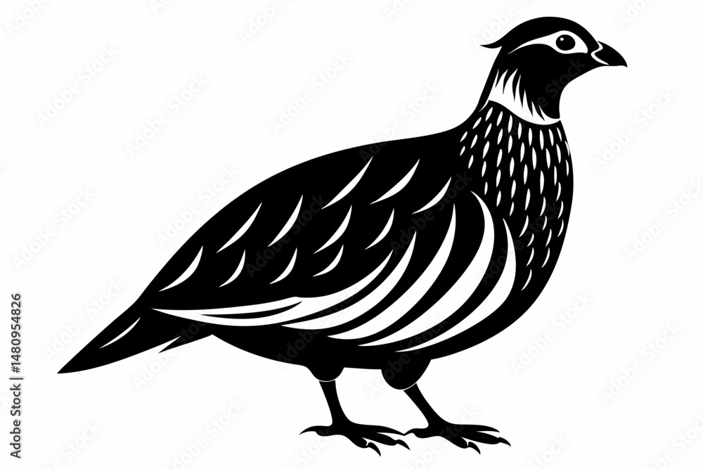 Fototapeta premium partridge silhouette line art vector illustration with a white background
