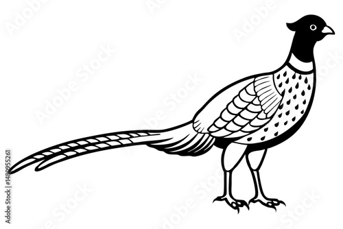 pheasant silhouette line art vector illustration with a white background