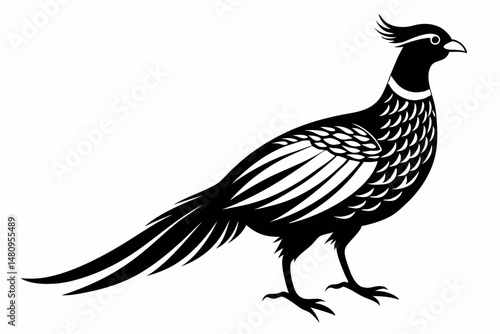 pheasant silhouette line art vector illustration with a white background