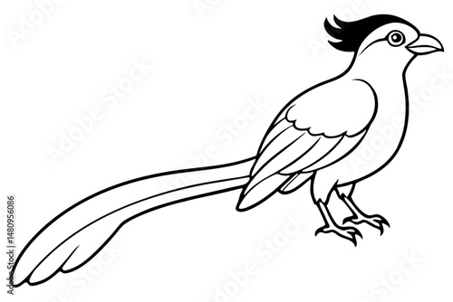 quetzal silhouette line art vector illustration with a white background