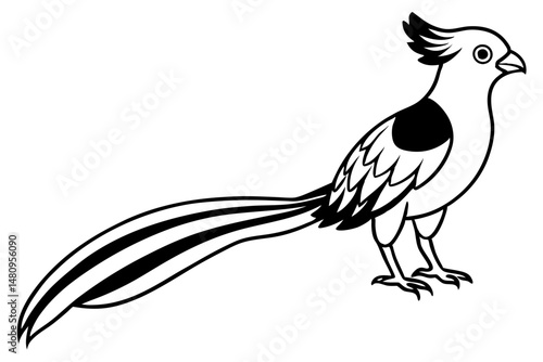 quetzal silhouette line art vector illustration with a white background