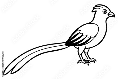 quetzal silhouette line art vector illustration with a white background