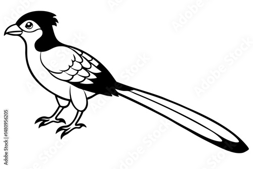 quetzal silhouette line art vector illustration with a white background