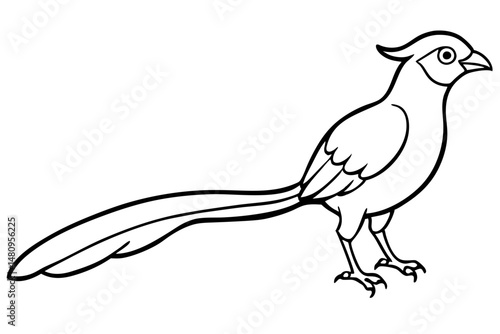 quetzal silhouette line art vector illustration with a white background