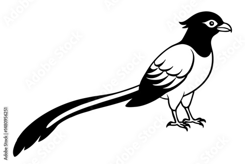 quetzal silhouette line art vector illustration with a white background