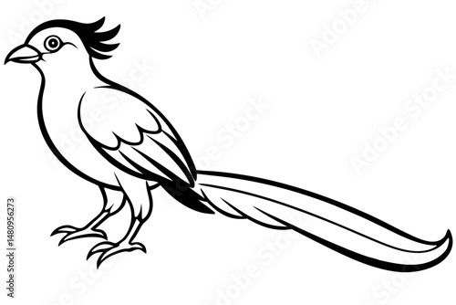 quetzal silhouette line art vector illustration with a white background