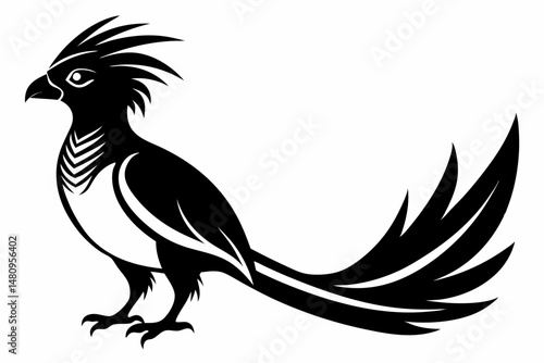 quetzal silhouette line art vector illustration with a white background