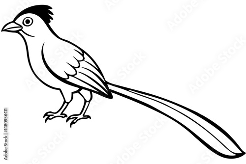 quetzal silhouette line art vector illustration with a white background