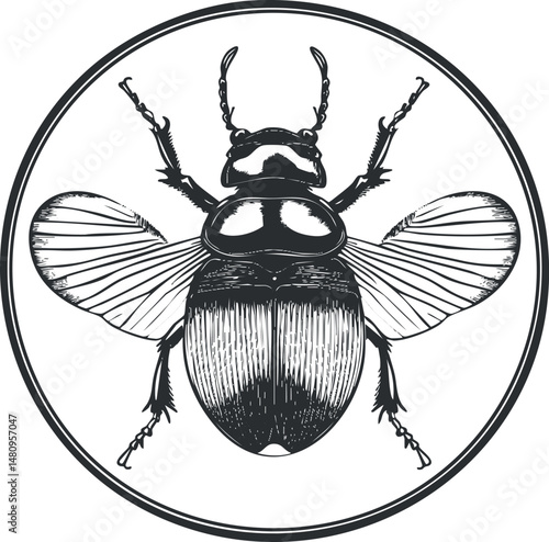 Black and white detailed illustration of a beetle with wings spread inside a circular frame