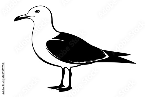 seagull silhouette line art vector illustration with a white background