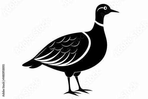woodcock silhouette line art vector illustration with a white background