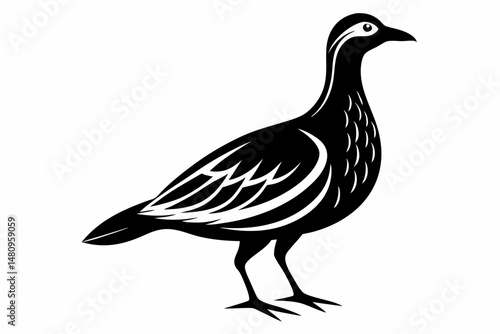 woodcock silhouette line art vector illustration with a white background