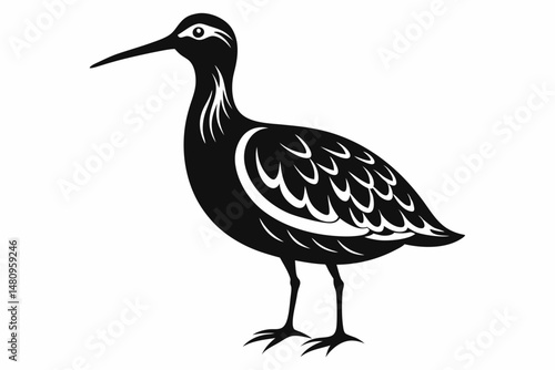 woodcock silhouette line art vector illustration with a white background
