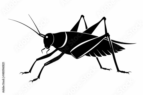 katydid silhouette line art vector illustration with a white background