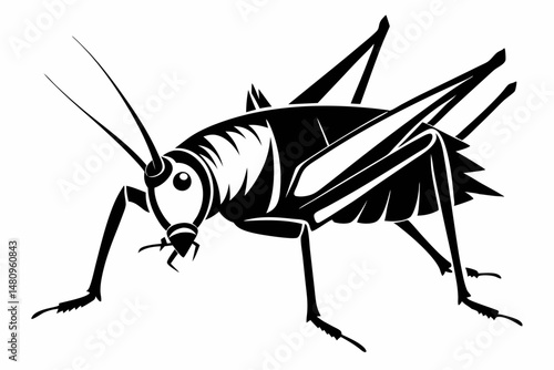 katydid silhouette line art vector illustration with a white background