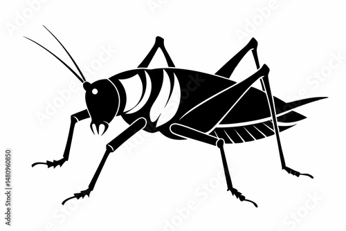 katydid silhouette line art vector illustration with a white background