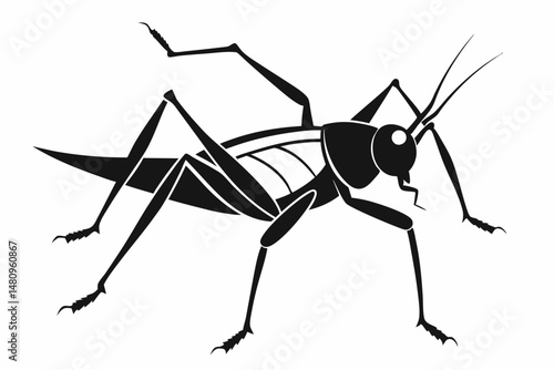 katydid silhouette line art vector illustration with a white background