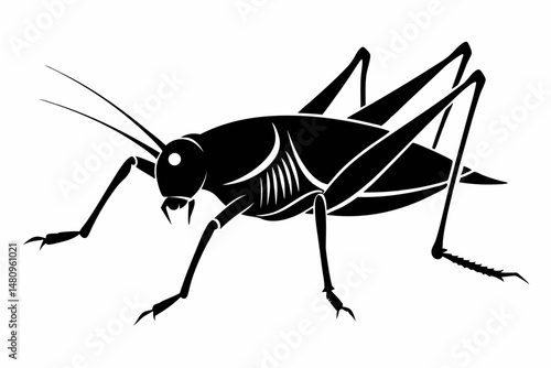 katydid silhouette line art vector illustration with a white background
