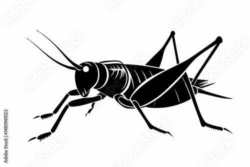 katydid silhouette line art vector illustration with a white background