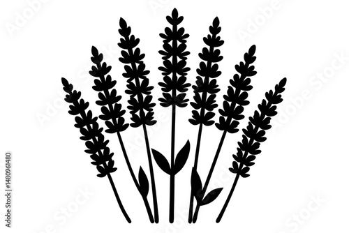 lavender silhouette line art vector illustration with a white background