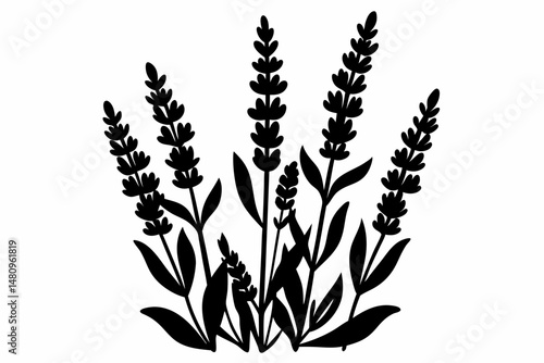 lavender silhouette line art vector illustration with a white background