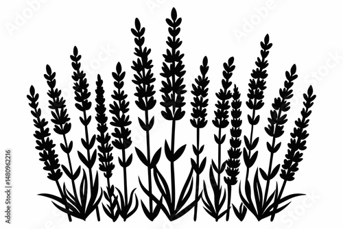 lavender silhouette line art vector illustration with a white background