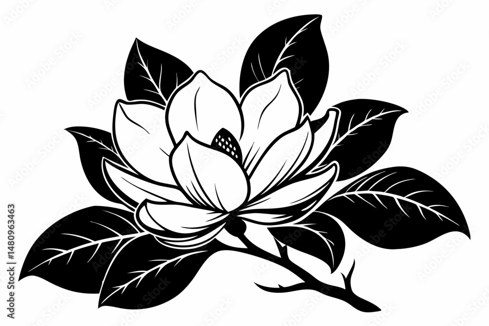 Obraz premium magnolia silhouette line art vector illustration with a white background