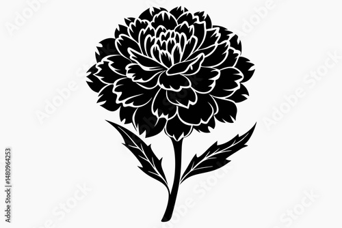 marigold silhouette line art vector illustration with a white background