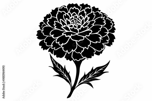 marigold silhouette line art vector illustration with a white background