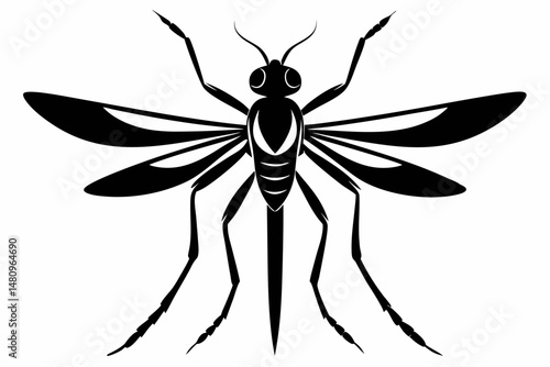 mosquito silhouette line art vector illustration with a white background