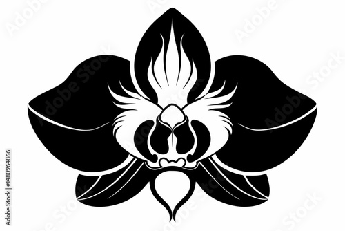 orchid silhouette line art vector illustration with a white background